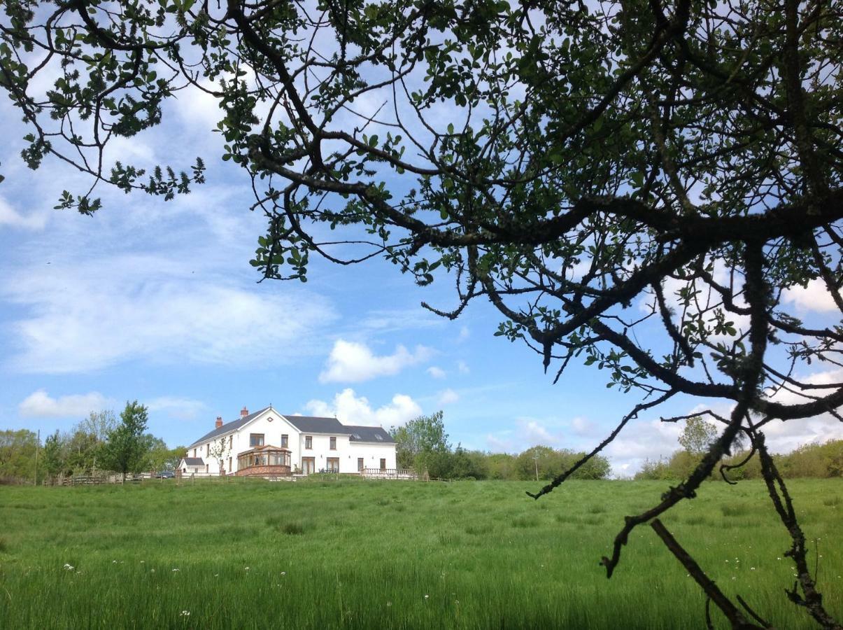 Penddaulwyn Uchaf Farm # Carmarthenshire Apartman Nantgaredig Kültér fotó