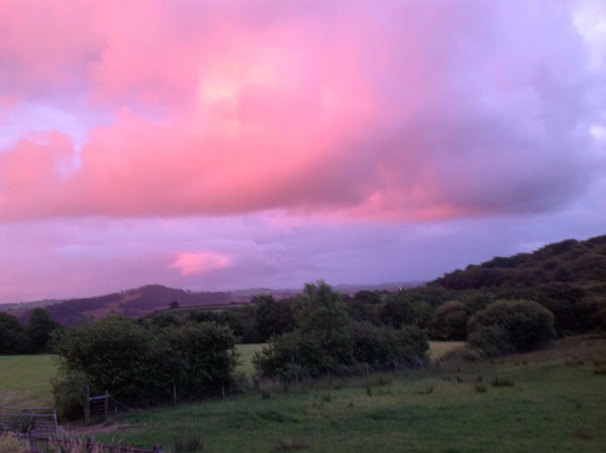 Penddaulwyn Uchaf Farm # Carmarthenshire Apartman Nantgaredig Kültér fotó