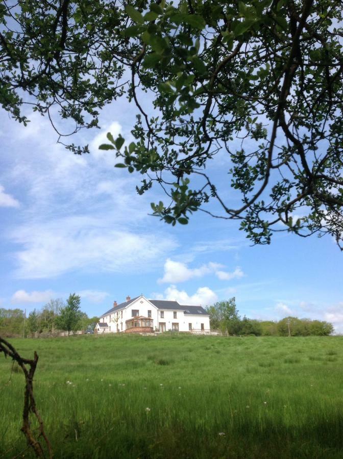 Penddaulwyn Uchaf Farm # Carmarthenshire Apartman Nantgaredig Kültér fotó