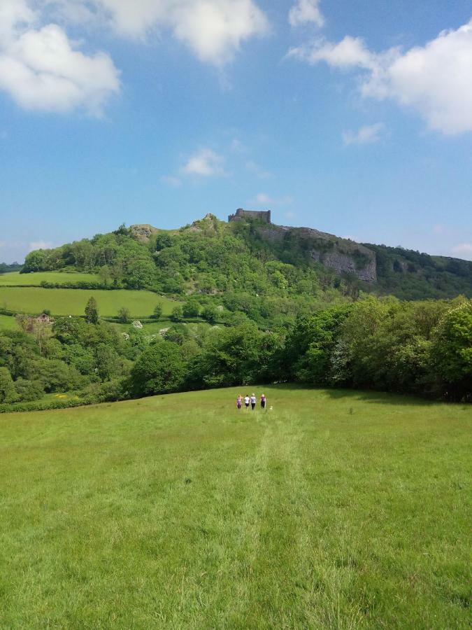 Penddaulwyn Uchaf Farm # Carmarthenshire Apartman Nantgaredig Kültér fotó
