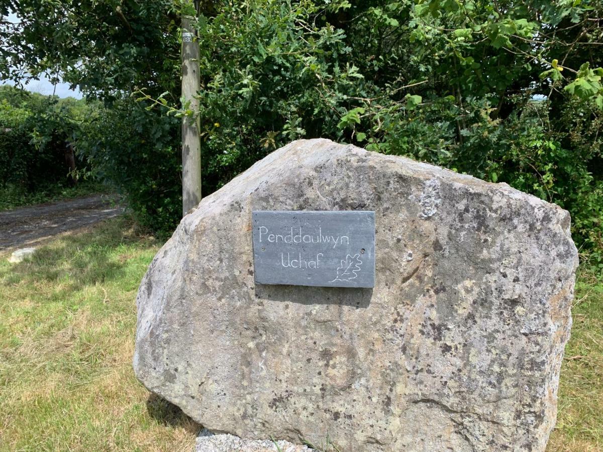 Penddaulwyn Uchaf Farm # Carmarthenshire Apartman Nantgaredig Kültér fotó
